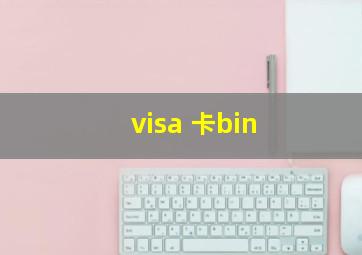 visa 卡bin